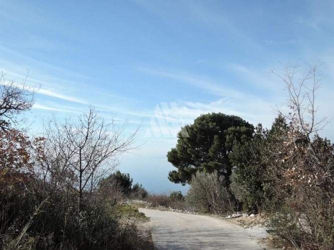 Артқы, төменгі, жеке фотосуреттер Артқы, төменгі, жеке фотосуреттер